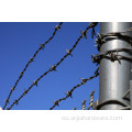 Industria personalizada Bajo precio Galvanized Barbed Wire